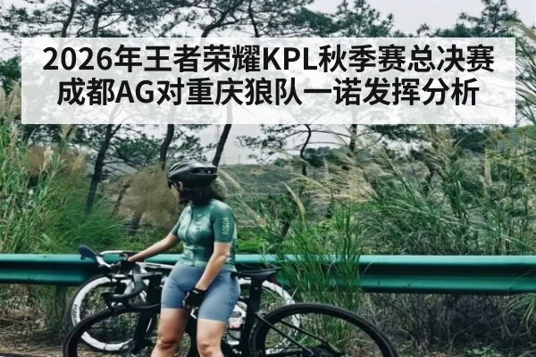 2026年王者荣耀KPL秋季赛总决赛成都AG对重庆狼队一诺发挥分析